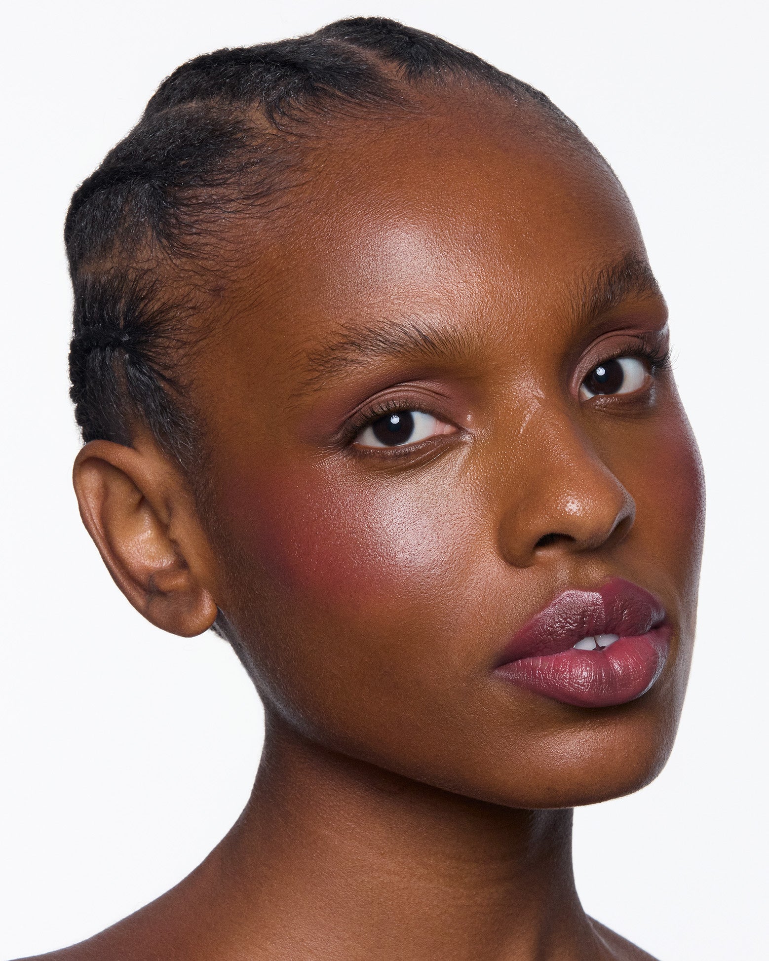 Flush Anemone Paisage