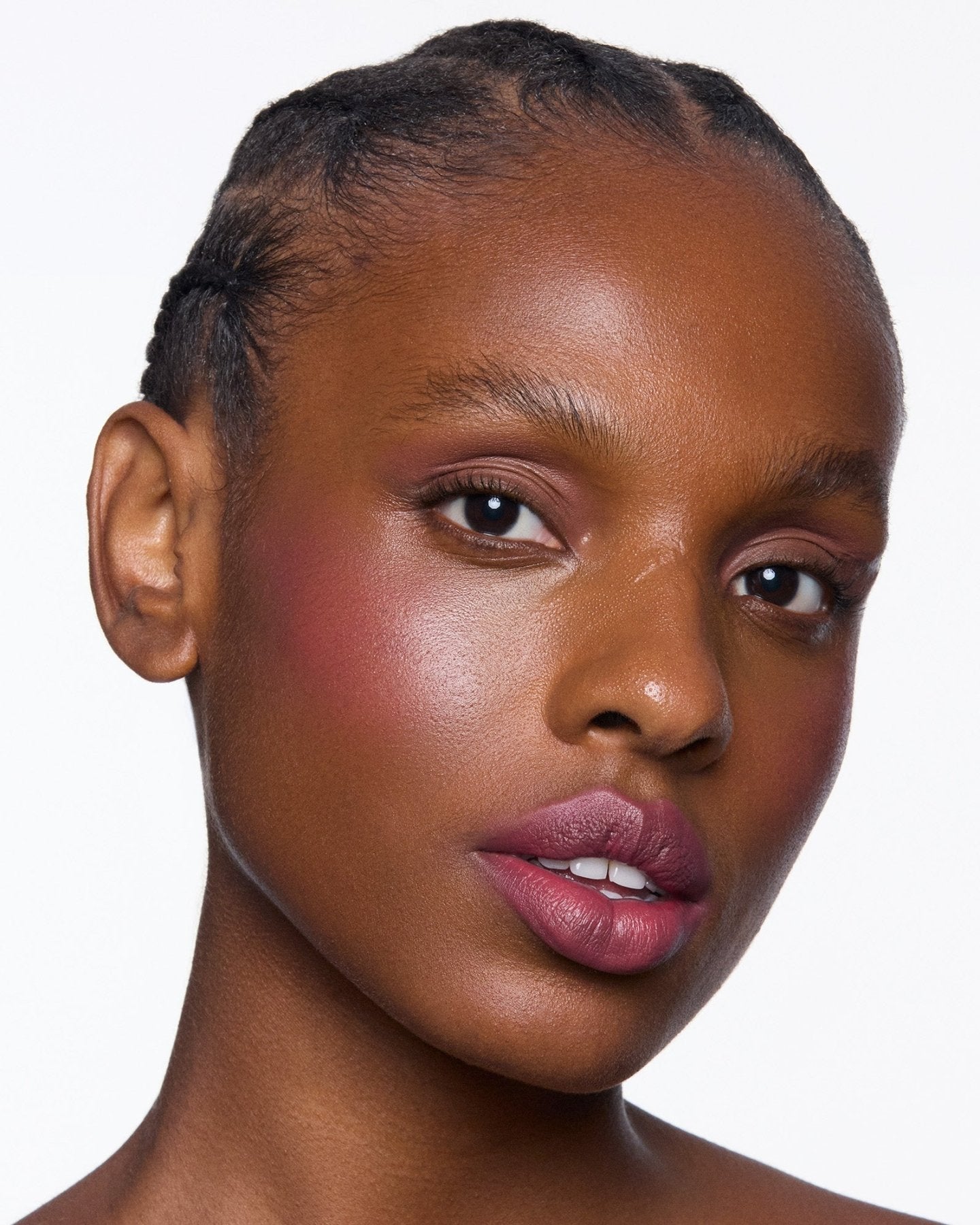 Flush Salvia Paisage